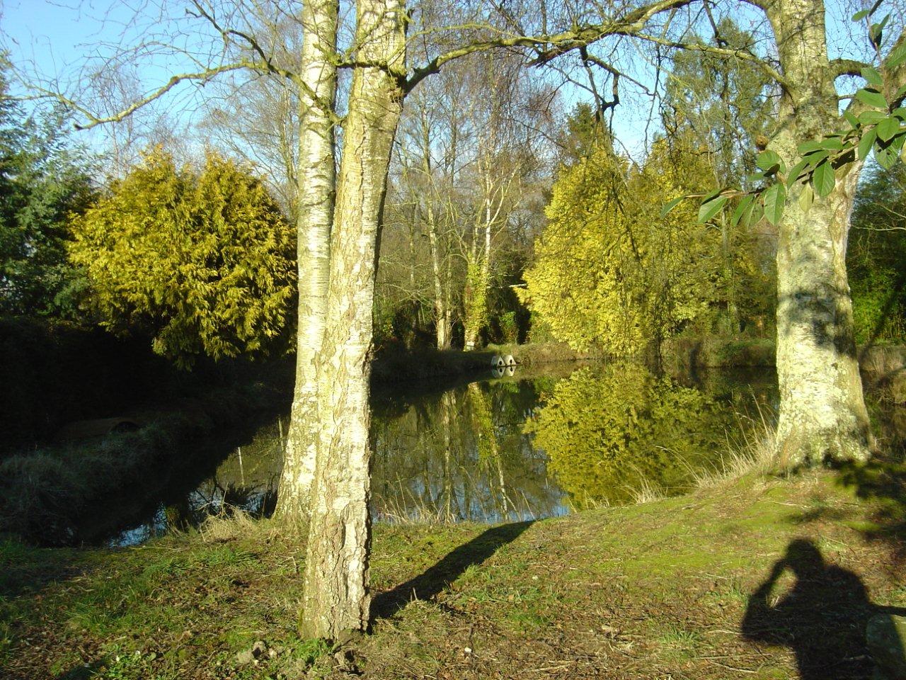 Reflets d'automne dans l'étang.
