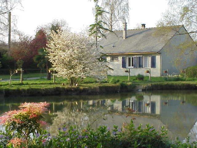 La maison vue depuis l'étang.Celui ci est cloturé et grillagé ce qui met vos enfants en sécurité.Poisson, tortue et Canard