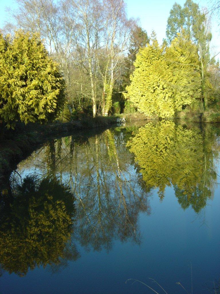 Reflets d'automne dans l'étang